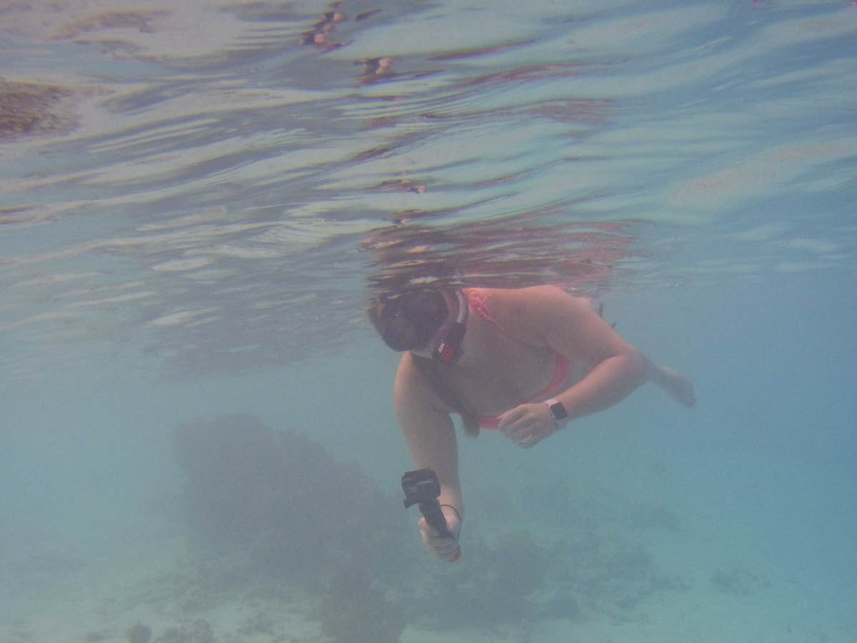 Snorkeling in Klein Bonaire CC's Ocean Escapades